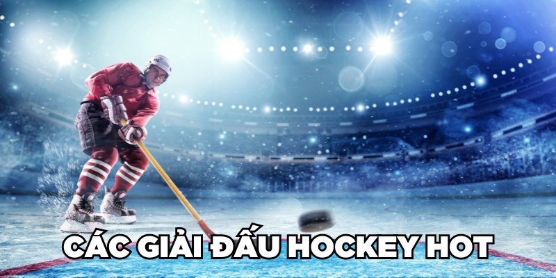 Các giải đấu Hockey HOT