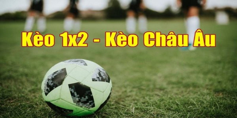 Kèo châu u phù hợp với người mới tham gia cá cược